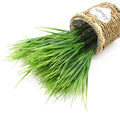 Artificial Green Grass