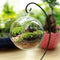 Adeeing Creative Clear Glass Ball Vase