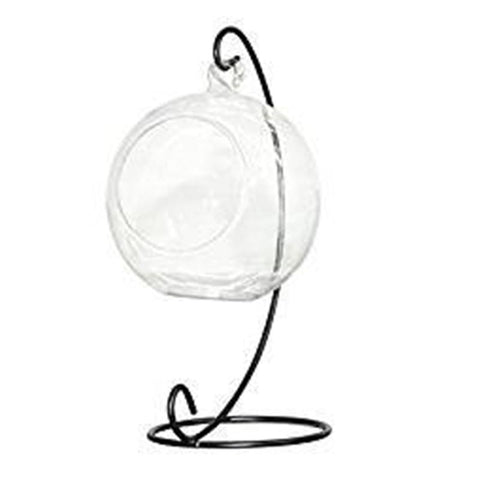 Adeeing Creative Clear Glass Ball Vase