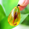 Scorpions Inclusion Amber Baltic Pendant Necklace