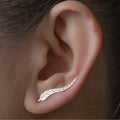 Long Crystal Tassel Earrings