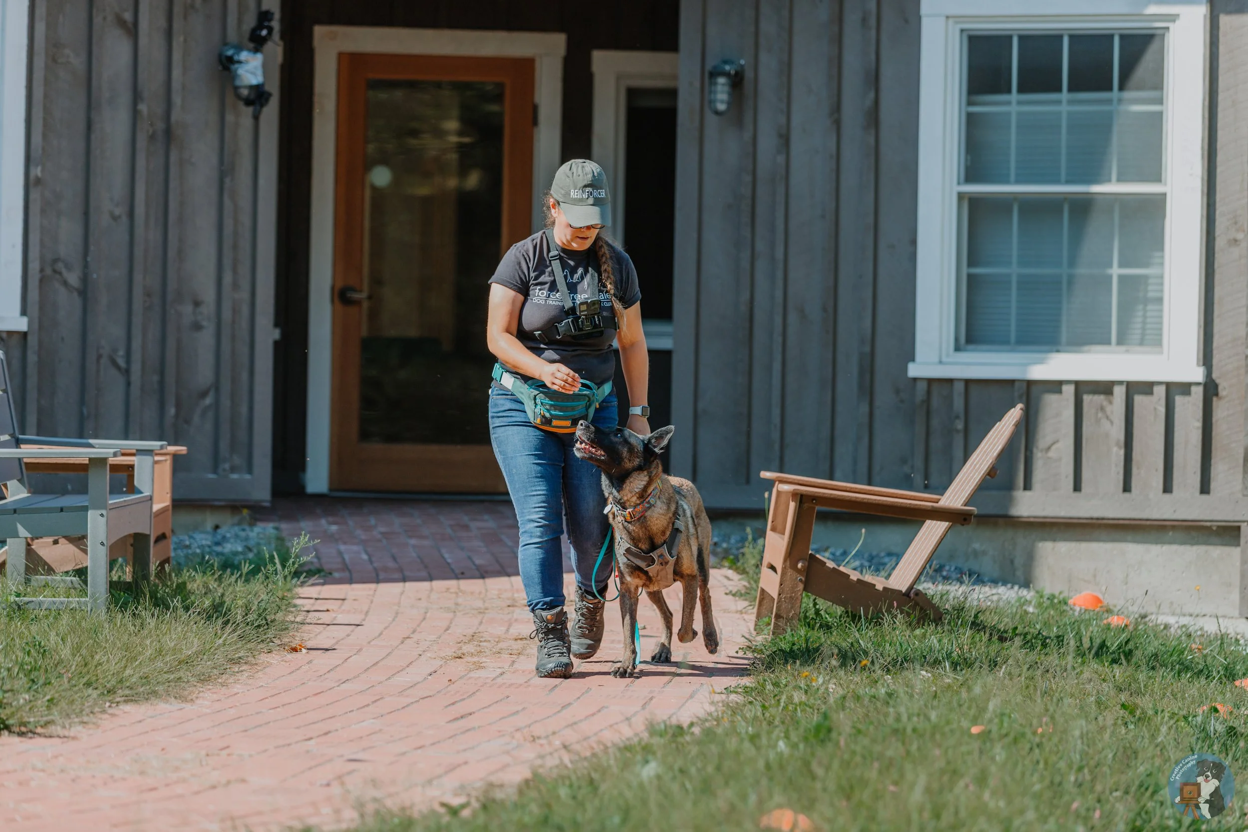 New Dog Owner Training Programs Guide: Expert Tips for Lifelong Success
